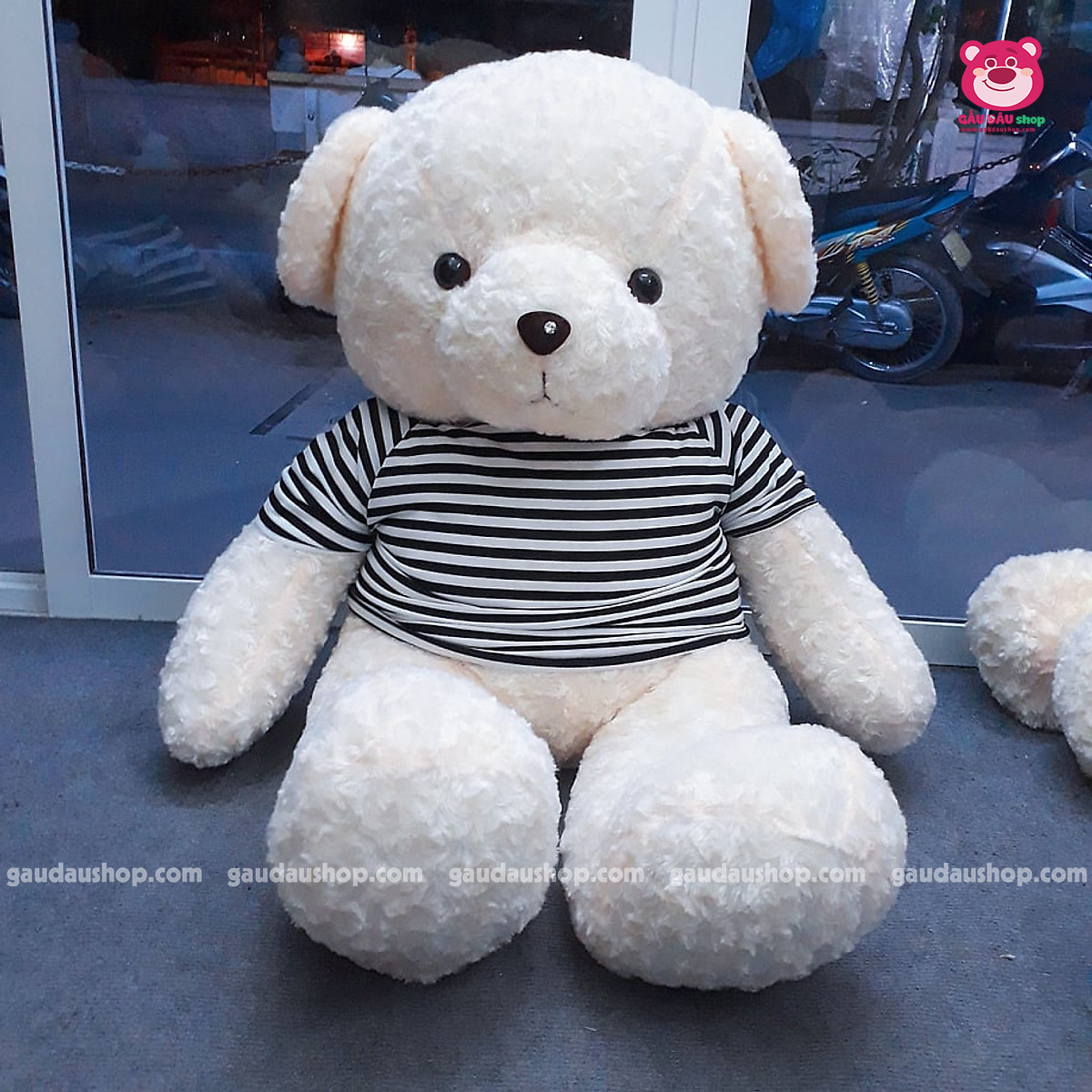 Teddy Trang1